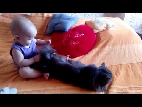 Beba i maca (Baby and kitty)