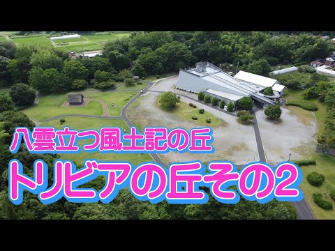 教育学科 八雲立つ風土記の丘トリビアその２　 #八雲立つ風土記の丘 #出雲 #しまね  #トリビア #ひみつ