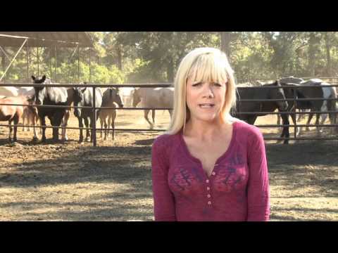 Thumbnail for video: OW FB Thumbnail for video: OW FB