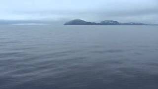 Sun Kil Moon - Four fingered fisherman