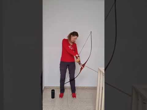 Standard-Schussablauf