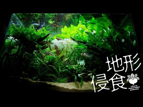 Watch Video on YouTube