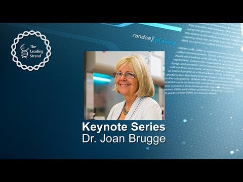 CSHL Keynote; Dr. Joan Brugge, Harvard Medical School