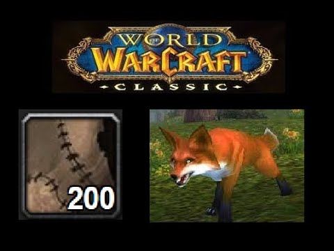 , title : 'World Of Warcraft Farmear Cuero Salvaje, trocitos de cuero salvaje y mascota Vulpex - SUB'