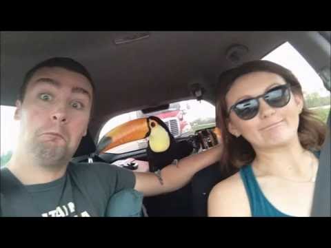 Tucano - Os feras do sertanejo