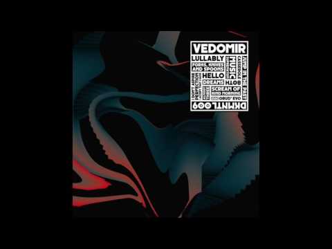 Vedomir - Jump In The Past (DKMNTL009)