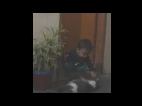 Baby playing with cat | cat attacking him  | tips and tricks with manshi