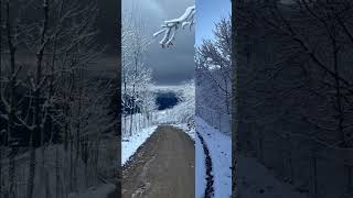 Enjoy the snowy nature #nature#snow#village#beautiful#winter#enjoy#snowy