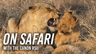On Safari with Adam Jones Using the Canon R5ii