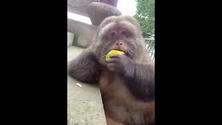 扮工的終極目標……… #shorts #short