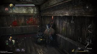 [心得] 仁王最終體驗版心得