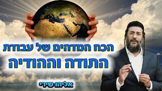הכח המדהים של עבודת התודה וההודיה - אליהו שירי