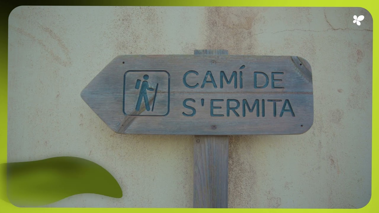 Adquisició zona rústica sa Marina de s’Ermita