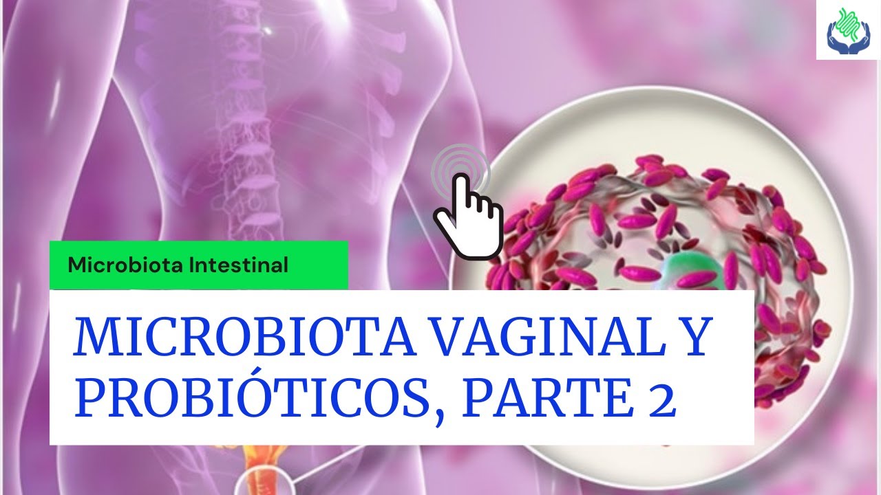 #shorts Microbiota Vaginal Y Probióticos, Parte 2, Salud Vaginal Y Microbiota Intestinal