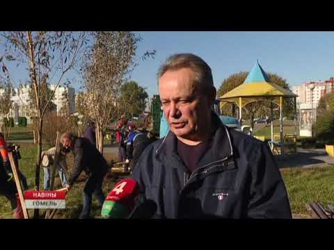 Октябрь-месяц благоустройства. В Гомеле прошел общегородской субботник видео