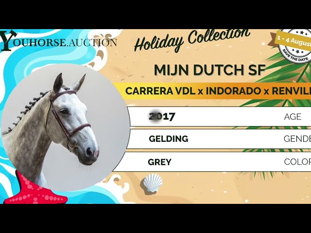Mijn Dutch showvideo