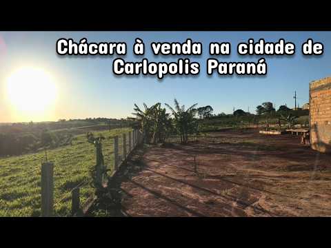 Chácara à venda cidade Carlopolis PR 