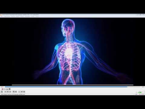 2017 01 12 PM Public Teaching in Polish - Nauki publiczne w języku polskim