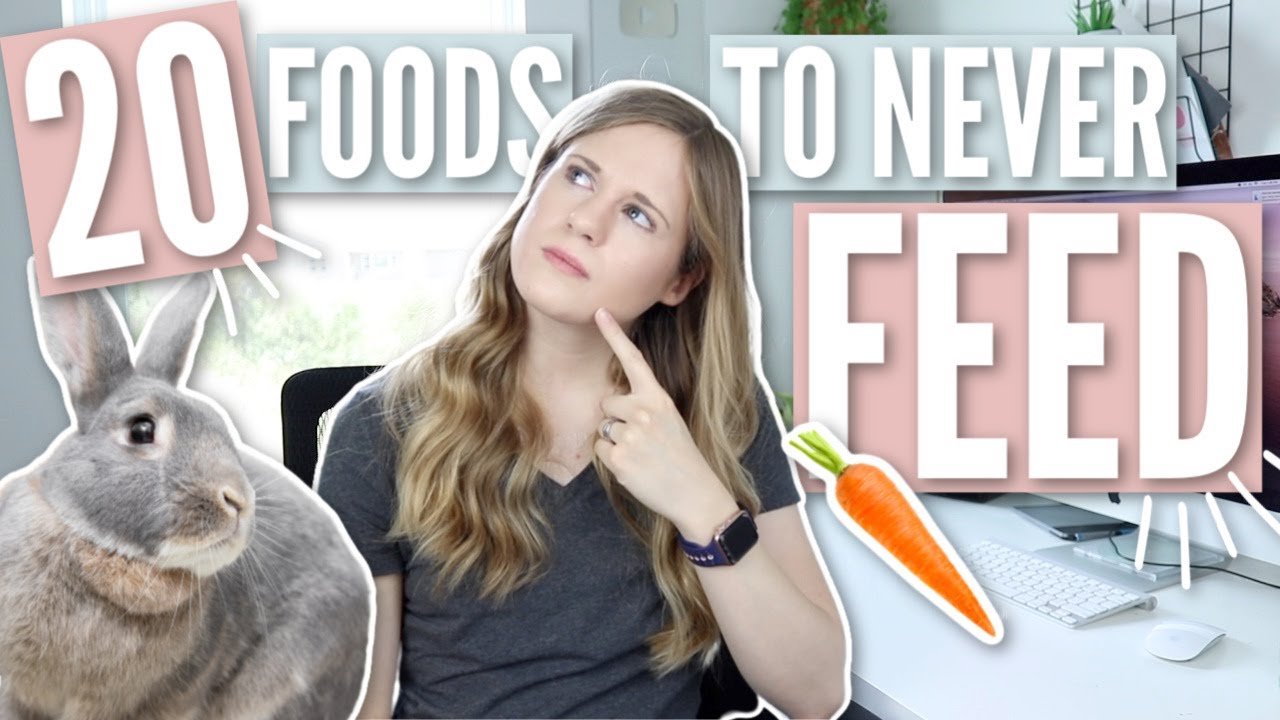 20 FOODS TO NEVER FEED RABBITS 🥕