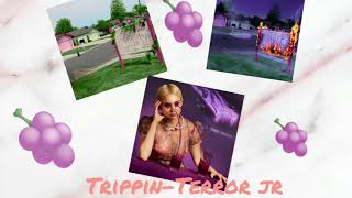 Trippin - Terror jr