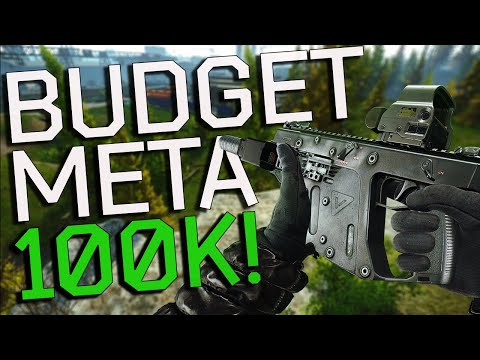 THE 45 Vector is a BUDGET META ! | Escape from Tarkov