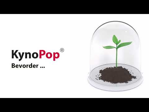 KynoPop ®