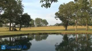 Meditation Music for Stress Relief and Relaxation - HD Unique Lake Accompanied Landscape