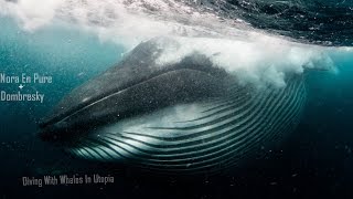 Nora En Pure + Dombresky - Diving With Whales In Utopia [nutrlized]