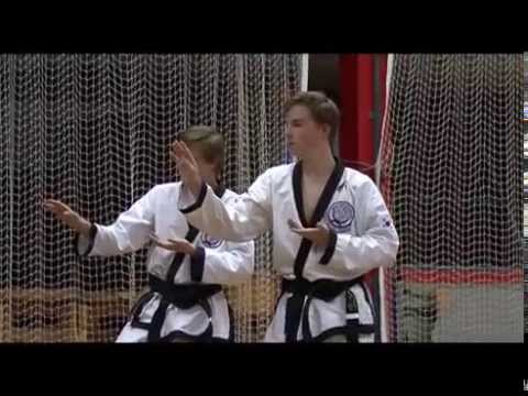 Item Sander Prins Tang Soo Do