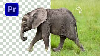 AUTOMATICALLY REMOVE BACKGROUND in Premiere Pro 2026