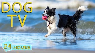 DOG TV: Best Entertain Videos for Dogs - Unlock Peace for Your Pup With Fun & Happy Help Dogs Music