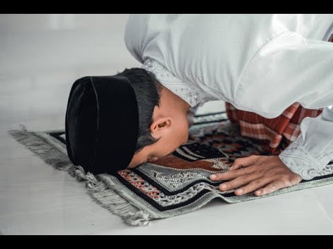 Reicht bei einem Fehler im Gebet die Vergesslichkeitsniederwerfung (Sujud as-Sahwu)?