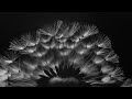 Faithless - angeline