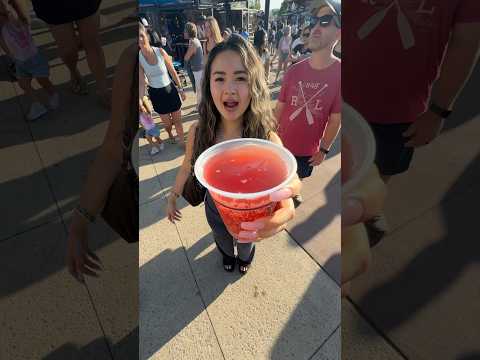 everything i ate at minnesota state fair (pt 2)