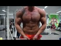 106Kg Fat to Shrdnezz to Fibo & Competition part 1
