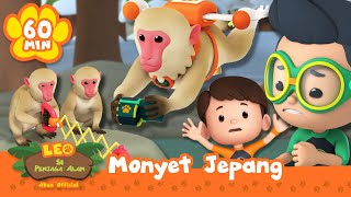 Download lagu Berhenti mencuri barang-barang kami, monyet! | Leo Si Penjaga Alam | Kartun Anak #hewan mp3