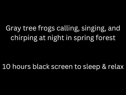 Many gray tree frogs chirp & sing in forest frog sounds tinnitus relief black screen sleep & relax