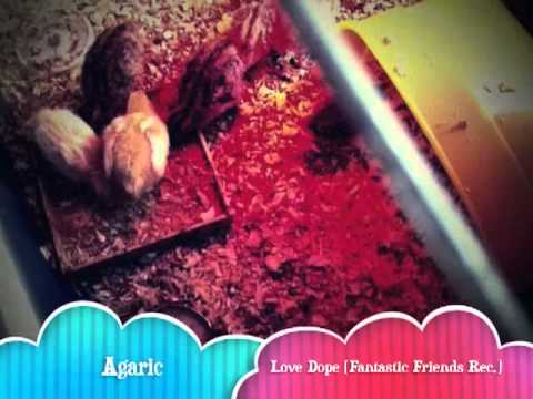 Agaric - Love Dope (Fantastic Friends Rec.) Extract