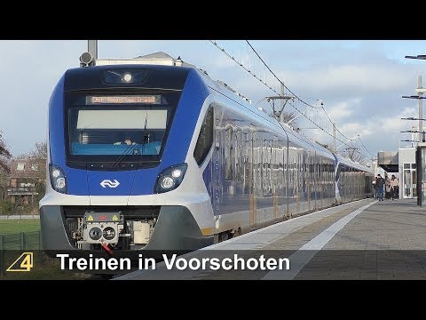Treinen in Voorschoten - 3 januari 2019