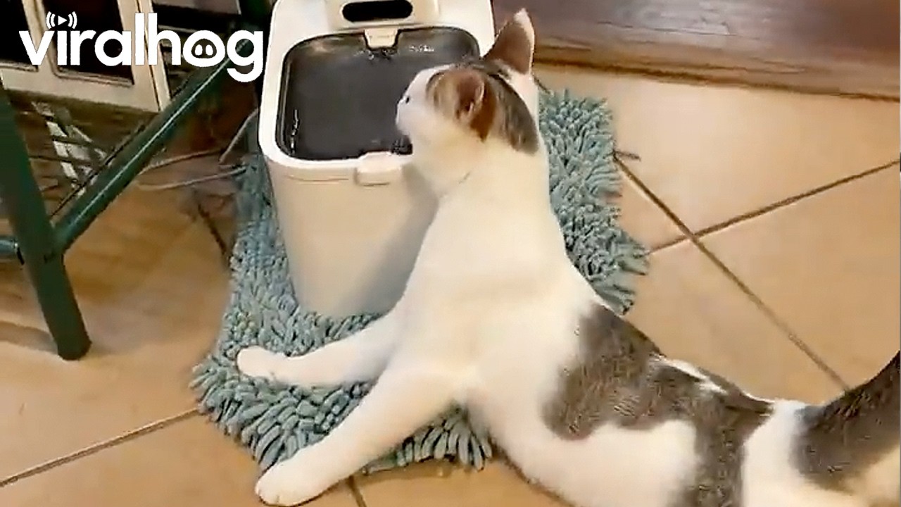 An Interesting Way to Drink Water || ViralHog
