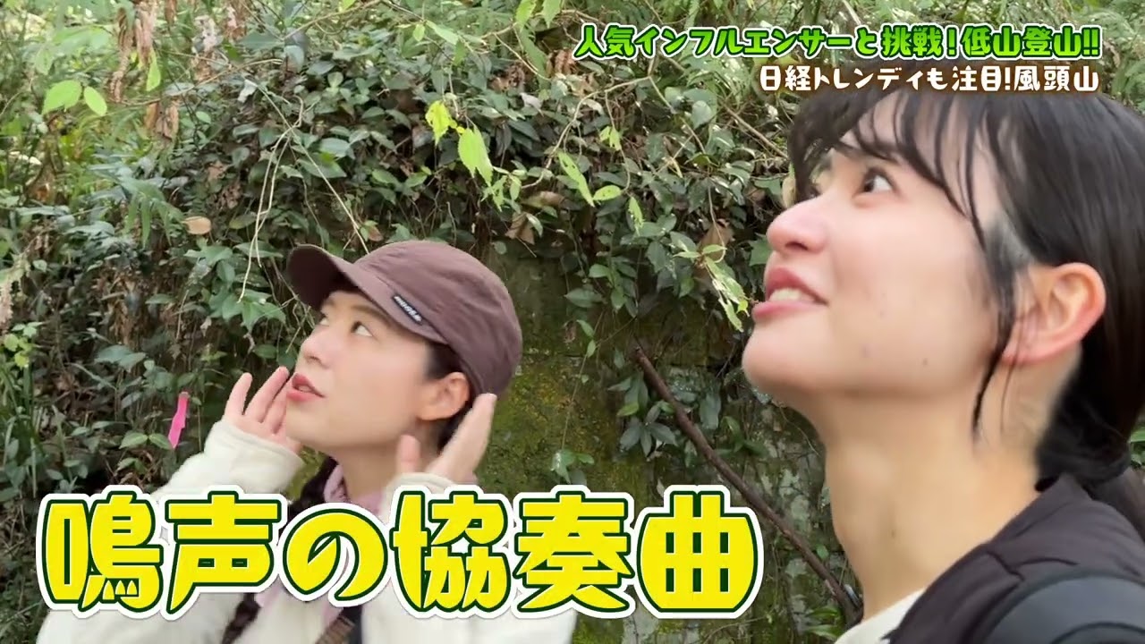 ながさき低山登山のススメ