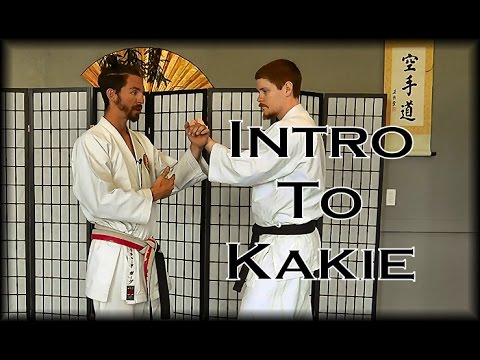 Waza Wednesday 5/10/17 - Introduction to Kakie/Kakidi