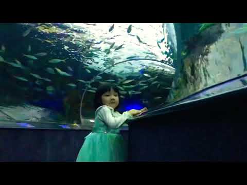 2019.10.20. 多伦多水族馆 14