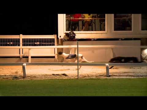 2020.08.07. 01. futam - Gable Dodge S2