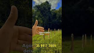 Pra investir ou fazer renda