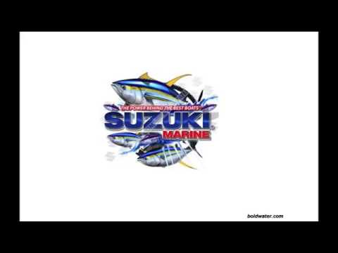 Suzuki DF150 outboard   HD