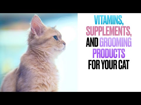 Vitamins, Supplements, and Grooming Products for your Cat