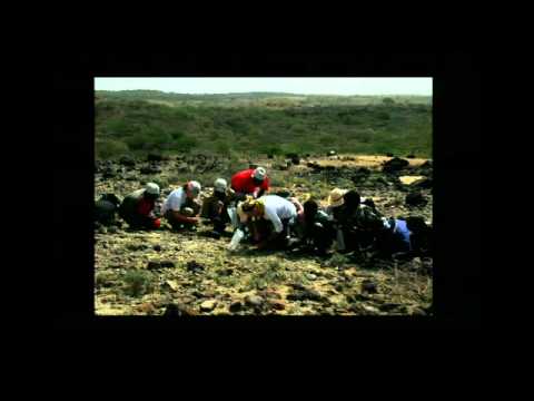 Ethiopia the Cradle of Human Origins: New Discoveries from the Field