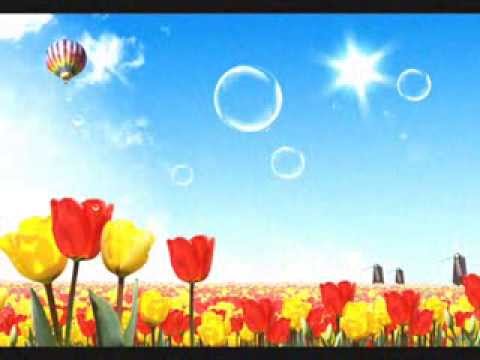 Dane Magdić - Esencija života