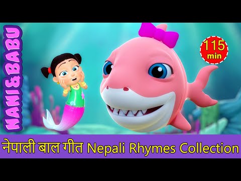 Baby Shark Doo Doo | Nepali Rhymes Collection | लोक प्रिय नेपाली बाल गीत
